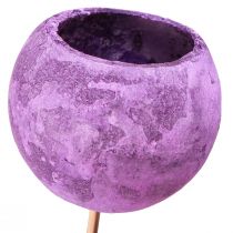 gjenstander Klokkekopp på pinne Eksotisk tørr dekorasjon Purple Berry 44cm 15 stk