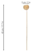 gjenstander Bell Cup Mix på stilk, naturlige eksotiske varianter, 15 stk.