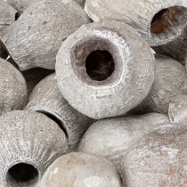 gjenstander Hvitkalkede bellgums 2 cm - 5 cm 500 g