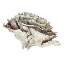 gjenstander Cedar kjegler kuttet som rose Cedar rose 4-6cm hvit/naturlig 50 stk
