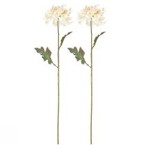 gjenstander Krysantemum Kunstige Dekorative Blomster Krem L72cm 2stk