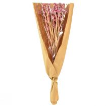 gjenstander Karriurt Immortelle Kunstrosa L28cm 12 stk 1 haug