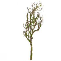 gjenstander Dekorativ gren med mose kunstig høstdekor grågrønn L78cm