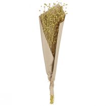 gjenstander Dekorative tørkede linblomster olivengrønne 50g