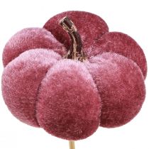 gjenstander Dekorativt gresskar laget av stoff gresskar på pinne burgunder rosa Ø7cm 9 stk