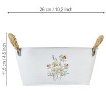 gjenstander Dekorativ oval metallskål, hvit, naturlig blomsterdekor, L26 cm