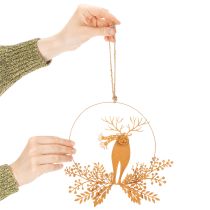 gjenstander Juledekorering, reinsdyr i ring, julenissen med gave, metalldekorasjon, rusten overflate, Ø18 cm, sett med 2