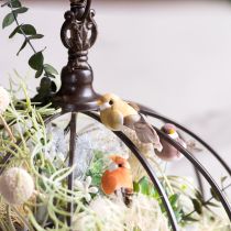 gjenstander Dekorative fugler, kunstig hjemmedekor, vårfest, med fargerik fjærdrakt laget av ekte fjær, 5 cm, 18 stk.