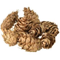 gjenstander Douglas-kjegler 1,3 kg