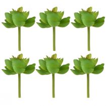 gjenstander Echeveria kunstige sukkulenter Grønn Ø7cm 6 stk