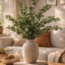 gjenstander Konserverte dekorative grener og blader av eukalyptus, rund tørket dekorasjon, grønn, 150 g