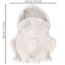gjenstander Frosk dekorativ plantepotte blomsterpotte betong grå H18,5cm