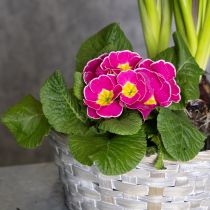 gjenstander Vevd kurv som en stilig blomsterdekorasjon til stuen. Påskekurv, 23 cm, 6 deler.