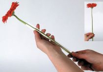 gjenstander Gerbera støtteslange 200m