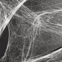 gjenstander Halloween-dekorasjon spindelvev 70×100 cm 150 g