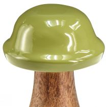 gjenstander Tresopp dekorative sopp tre grågrønn Ø6cm H10cm 2stk
