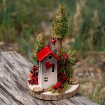 gjenstander Naturlige Paulownia-treskiver, Ø26-28 cm, sett med 3 til DIY, dekorasjon, bryllup