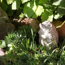 gjenstander Pinnsvin høstdekorasjonsfigur støpt stein hvitvasket H14,5 cm