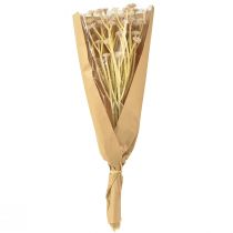 gjenstander Italienske stråblomst kunstige blomster Rosa L28cm