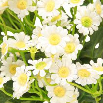 gjenstander Kamille Kunsteng Blomster Hvit 58cm 4stk