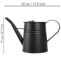gjenstander Stilig liten dekorativ vannkanne, svart metall, 30x13x17cm, 1,7l, blomsterkasse, dekorasjon til leilighet/balkong