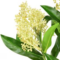 gjenstander Kunstige blomsterkrem Skimmia japonica Skimmie 45cm 2stk
