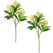 gjenstander Kunstige blomsterkrem Skimmia japonica Skimmie 45cm 2stk