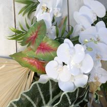 gjenstander Kunstig caladium seksbladet grønn/rosa kunstig plante som ekte!