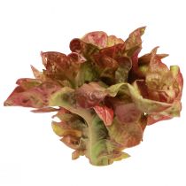 gjenstander Kunstsalat Lollo Rosso dekorativt salathode Ø20cm