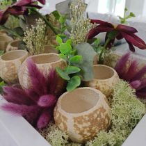 gjenstander Gresskardekor Klokkekopp Gresskarkopp bleket 50 stk