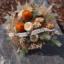 gjenstander Kunstige blomster, Banksia, Proteaceae Oransje L58cm H6cm 3 stk