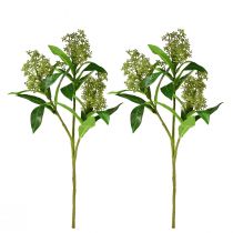 gjenstander Kunstige blomster grønne Skimmia japonica Skimmie 45cm 2stk