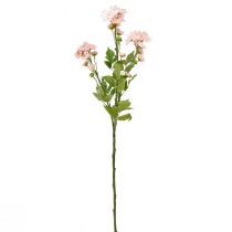 gjenstander Kunstige Blomster Kunstige Asters Silkeblomster Rosa 80cm