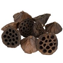 gjenstander Lotus stempel medium 100 stk naturlig