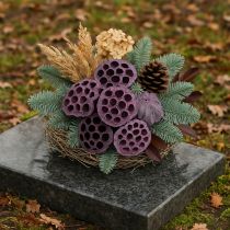 gjenstander Lotus kapsler, tørr blomster, lotus pære rosa, vasket hvit 50 stk.