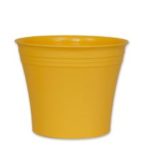 Michele planter gul (10stk.)