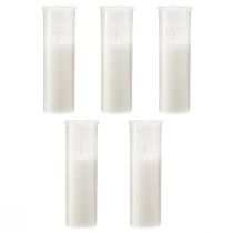 gjenstander Refill lys for gravlys hvit 84h H17cm 5 stk