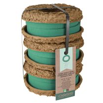 gjenstander OASIS® Biolit® Ring/Krans 17cm 6 stk