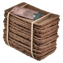 gjenstander Oasis Biolit-base for blomsterskumklosser 25 × 14 × 2 cm, 11 stk. - Bærekraftige blomsterarrangementer, blomsterdekorasjonstilbehør