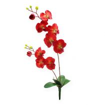 Dekorativ orkidé rød 68cm