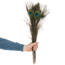 gjenstander Påfuglfjær, ekte fuglefjær til håndverk og dekorasjon, 55 cm, 10 stk.