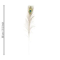 gjenstander Påfuglfjærdekorasjon, ekte fuglefjær, lange 75-85 cm, 8 stk.
