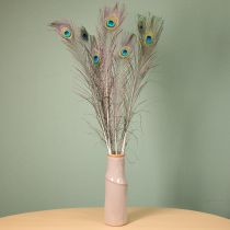 gjenstander Påfuglfjærdekorasjon, ekte fuglefjær, lange 75-85 cm, 8 stk.