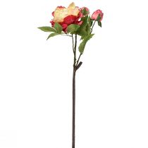 gjenstander Peoner Silkeblomster Kunstige Blomster Rosa Gul 68cm