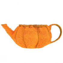 gjenstander Planteplante gresskardekorasjon oransje gulgrønn Ø19cm H12cm