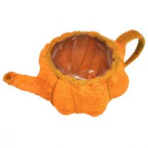gjenstander Planteplante gresskardekorasjon oransje gulgrønn Ø19cm H12cm