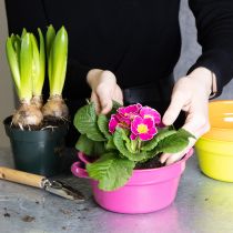 gjenstander Metallplantekasse, originalt design for sofistikerte oppholdsrom og stilig dekorasjon, 17 cm, 3 deler