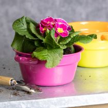 gjenstander Metallplantekasse, originalt design for sofistikerte oppholdsrom og stilig dekorasjon, 17 cm, 3 deler