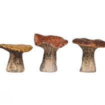 gjenstander Naturinspirerte dekorative figurer av sopp - forskjellige brune nyanser, 2,5" - Sjarmerende aksenter for hage og hjem Pakke med 3