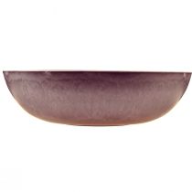 gjenstander Elegant lilla plastskål 37x10,5 cm - allsidig til dekorasjon - 3 stk.